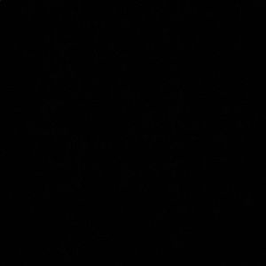 Meet your Posher, Mallory